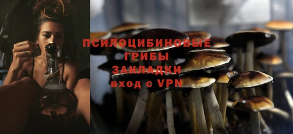 спайс Алексин